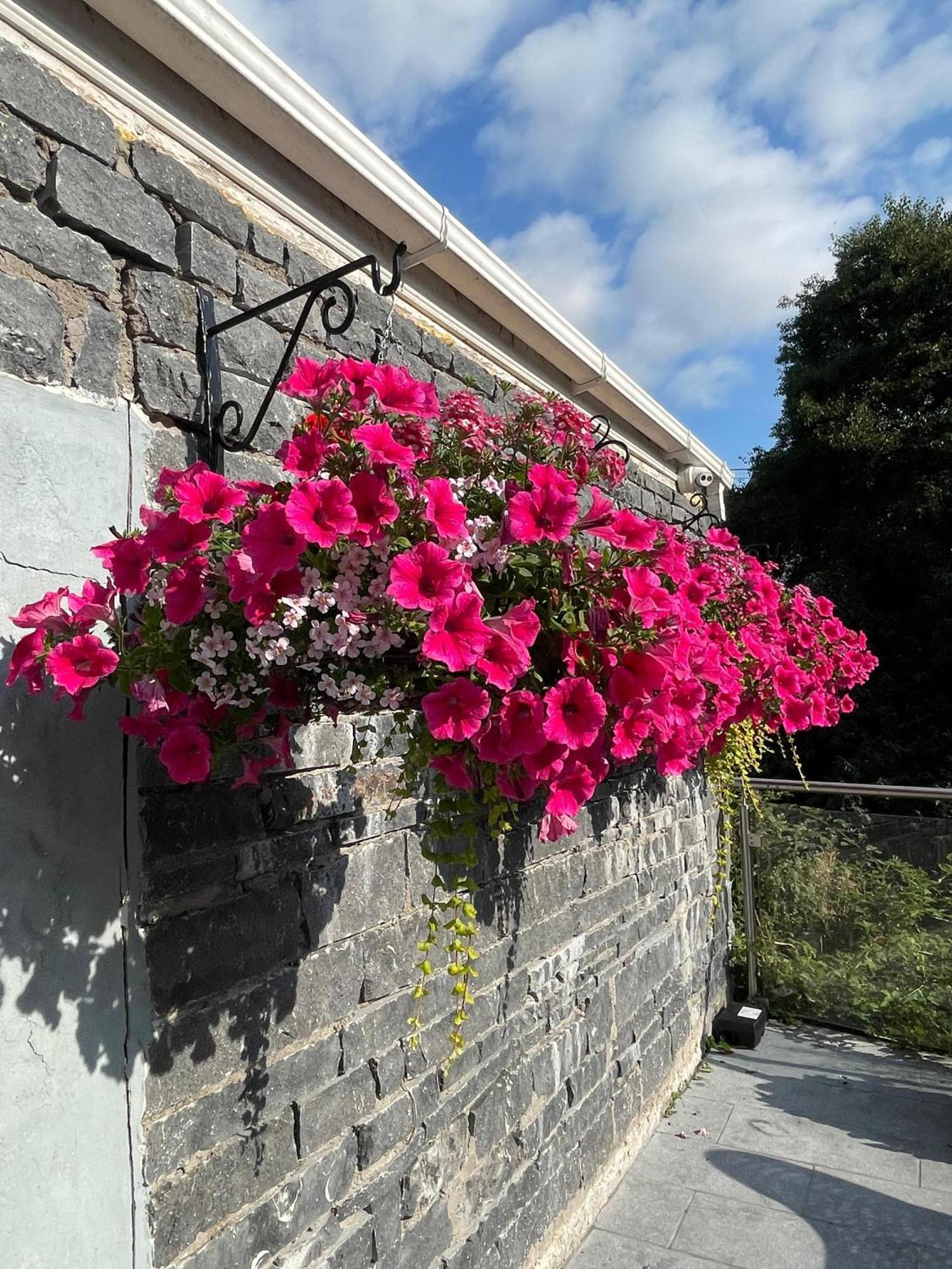 Shandon Bells Guest House Cork Zewnętrze zdjęcie